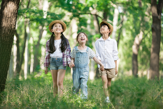 children in the forest